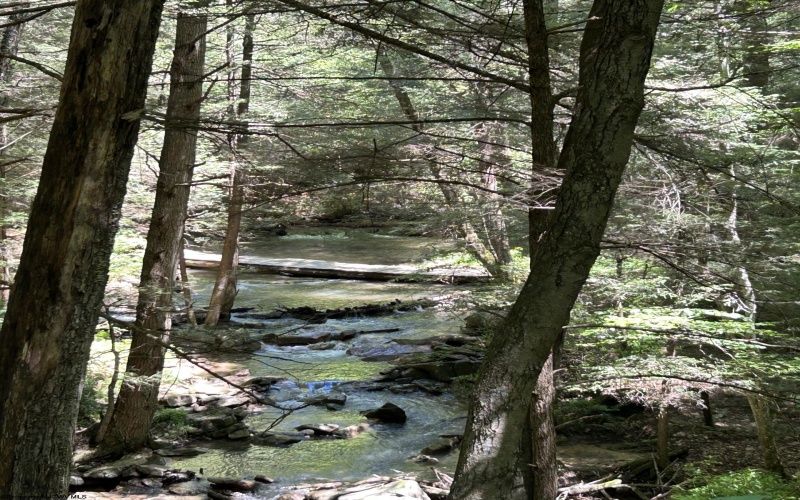 3091B Pleasantdale Road, Kingwood, West Virginia 26537, ,Lots/land,For Sale,Pleasantdale,10165457