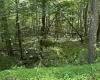 3091B Pleasantdale Road, Kingwood, West Virginia 26537, ,Lots/land,For Sale,Pleasantdale,10165457