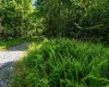 3091B Pleasantdale Road, Kingwood, West Virginia 26537, ,Lots/land,For Sale,Pleasantdale,10165457