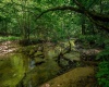 3091B Pleasantdale Road, Kingwood, West Virginia 26537, ,Lots/land,For Sale,Pleasantdale,10165457