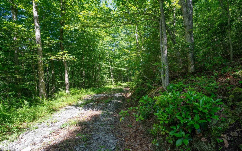 3091B Pleasantdale Road, Kingwood, West Virginia 26537, ,Lots/land,For Sale,Pleasantdale,10165457