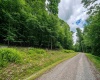 Lot 21 Trailwood Circle, Bruceton Mills, West Virginia 26525, ,Lots/land,For Sale,Trailwood,10165480