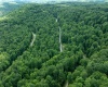 Lot 21 Trailwood Circle, Bruceton Mills, West Virginia 26525, ,Lots/land,For Sale,Trailwood,10165480
