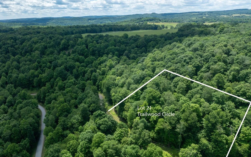 Lot 21 Trailwood Circle, Bruceton Mills, West Virginia 26525, ,Lots/land,For Sale,Trailwood,10165480