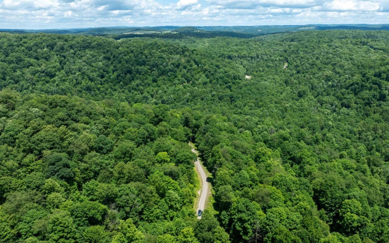Lot 21 Trailwood Circle, Bruceton Mills, West Virginia 26525, ,Lots/land,For Sale,Trailwood,10165480