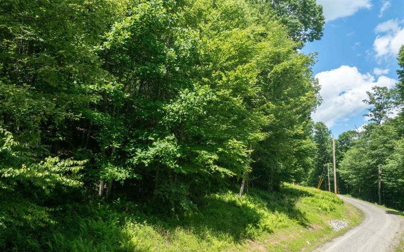 Lot 21 Trailwood Circle, Bruceton Mills, West Virginia 26525, ,Lots/land,For Sale,Trailwood,10165480