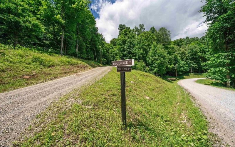 Lot 21 Trailwood Circle, Bruceton Mills, West Virginia 26525, ,Lots/land,For Sale,Trailwood,10165480
