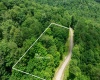 Lot 21 Trailwood Circle, Bruceton Mills, West Virginia 26525, ,Lots/land,For Sale,Trailwood,10165480