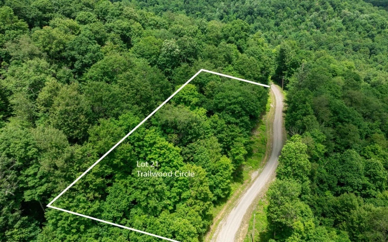 Lot 21 Trailwood Circle, Bruceton Mills, West Virginia 26525, ,Lots/land,For Sale,Trailwood,10165480