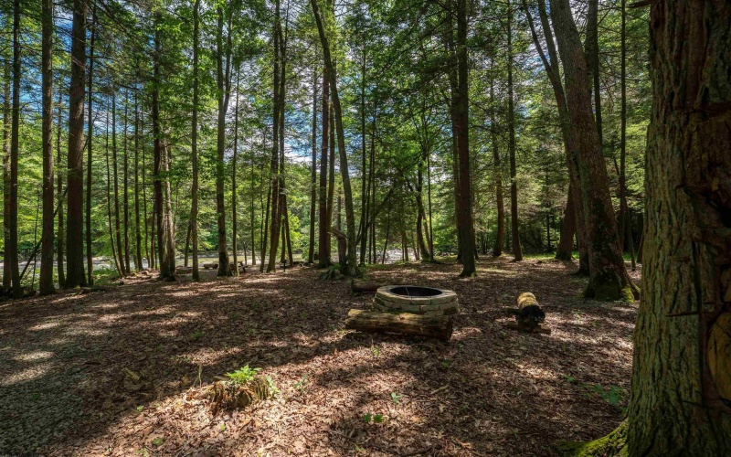 Lot 21 Trailwood Circle, Bruceton Mills, West Virginia 26525, ,Lots/land,For Sale,Trailwood,10165480