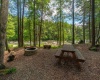 Lot 21 Trailwood Circle, Bruceton Mills, West Virginia 26525, ,Lots/land,For Sale,Trailwood,10165480