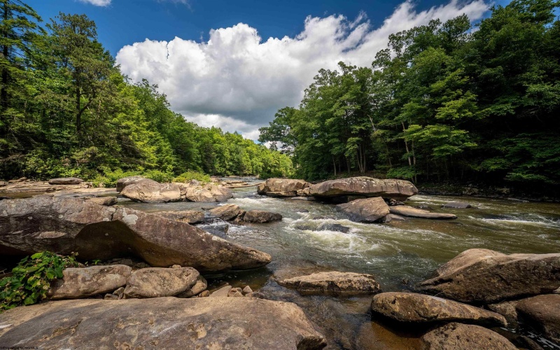 Lot 21 Trailwood Circle, Bruceton Mills, West Virginia 26525, ,Lots/land,For Sale,Trailwood,10165480
