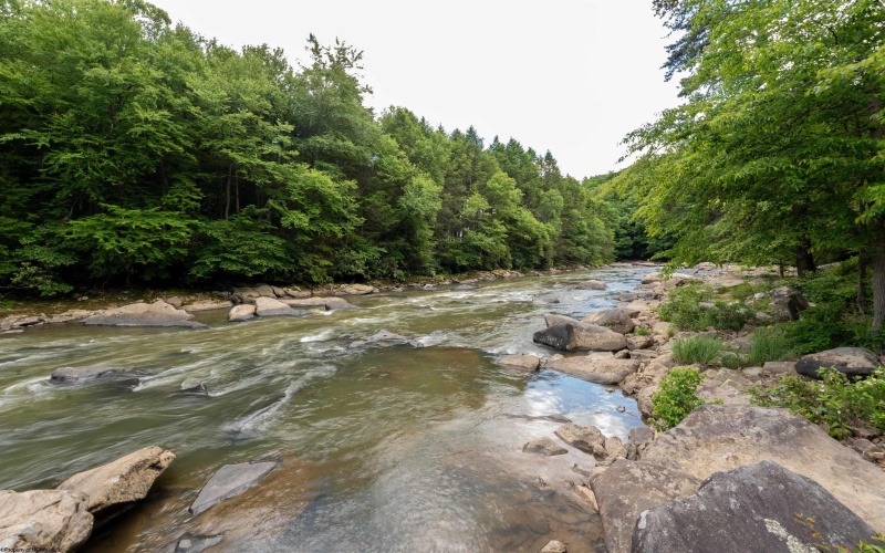 Lot 21 Trailwood Circle, Bruceton Mills, West Virginia 26525, ,Lots/land,For Sale,Trailwood,10165480