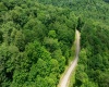 Lot 21 Trailwood Circle, Bruceton Mills, West Virginia 26525, ,Lots/land,For Sale,Trailwood,10165480