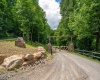 Lot 21 Trailwood Circle, Bruceton Mills, West Virginia 26525, ,Lots/land,For Sale,Trailwood,10165480