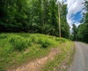 Lot 21 Trailwood Circle, Bruceton Mills, West Virginia 26525, ,Lots/land,For Sale,Trailwood,10165480