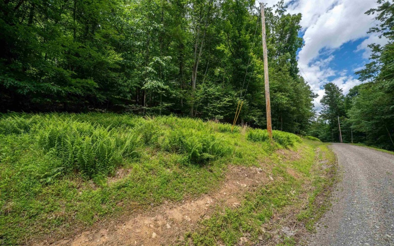 Lot 21 Trailwood Circle, Bruceton Mills, West Virginia 26525, ,Lots/land,For Sale,Trailwood,10165480