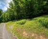 Lot 21 Trailwood Circle, Bruceton Mills, West Virginia 26525, ,Lots/land,For Sale,Trailwood,10165480
