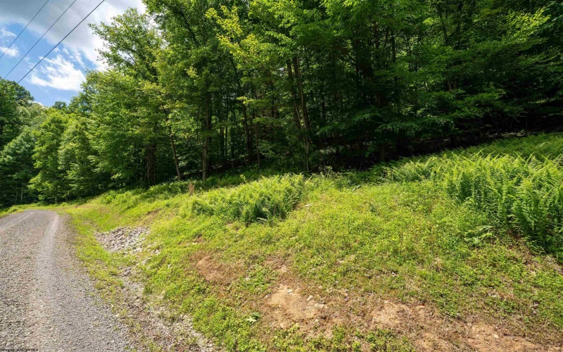 Lot 21 Trailwood Circle, Bruceton Mills, West Virginia 26525, ,Lots/land,For Sale,Trailwood,10165480