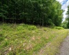 Lot 21 Trailwood Circle, Bruceton Mills, West Virginia 26525, ,Lots/land,For Sale,Trailwood,10165480