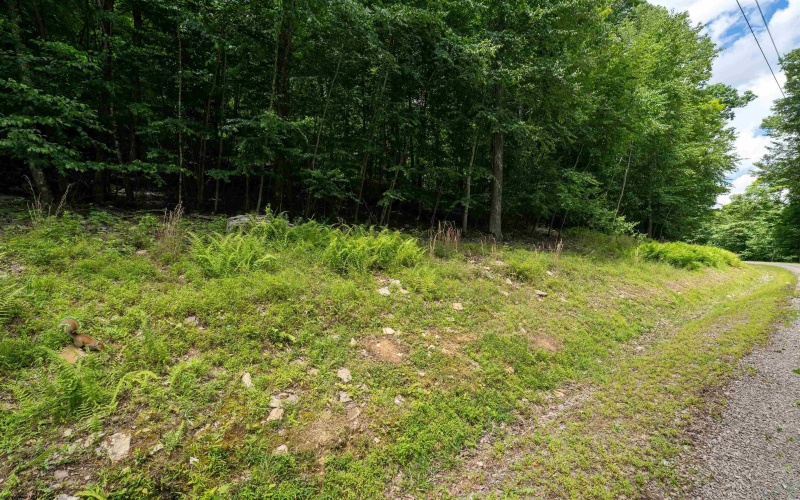 Lot 21 Trailwood Circle, Bruceton Mills, West Virginia 26525, ,Lots/land,For Sale,Trailwood,10165480
