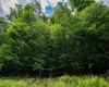 Lot 21 Trailwood Circle, Bruceton Mills, West Virginia 26525, ,Lots/land,For Sale,Trailwood,10165480
