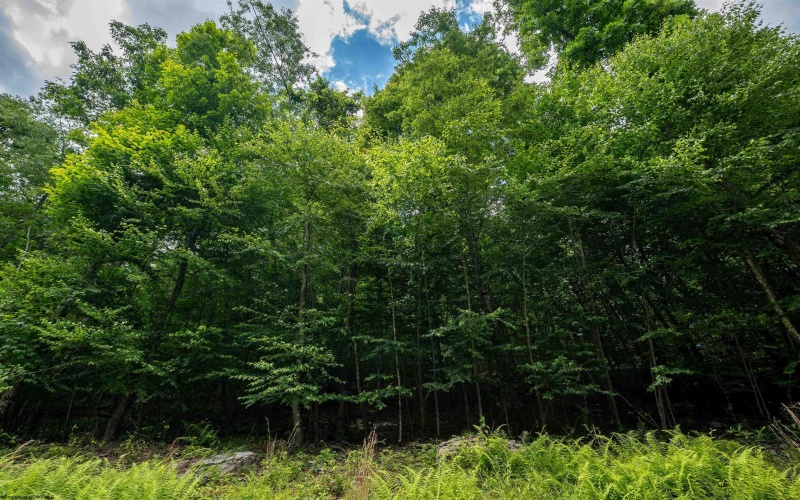 Lot 21 Trailwood Circle, Bruceton Mills, West Virginia 26525, ,Lots/land,For Sale,Trailwood,10165480