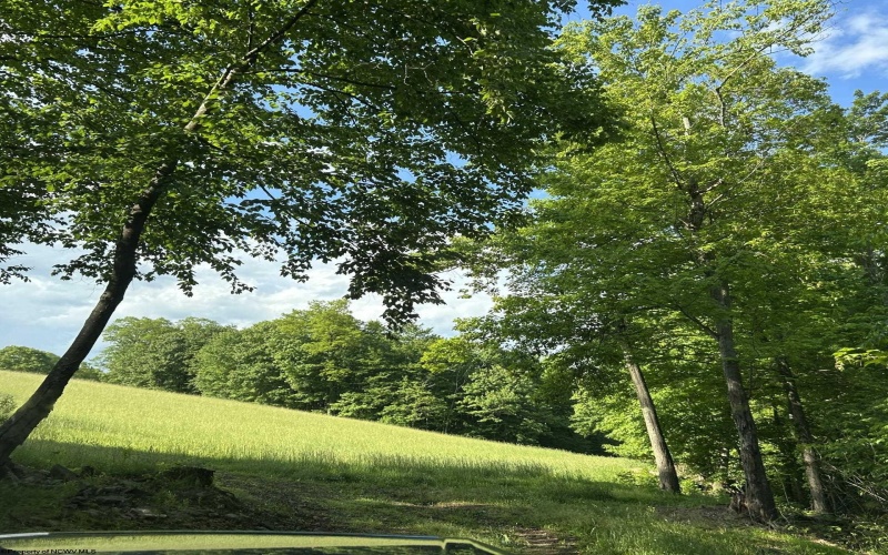 5400 Brandonville Pike, Terra Alta, West Virginia 26764, ,Lots/land,For Sale,Brandonville,10165497 5400 Brandonville Pike, Terra Alta, West Virginia 26764, ,Lots/land,For Sale,Brandonville,10165497