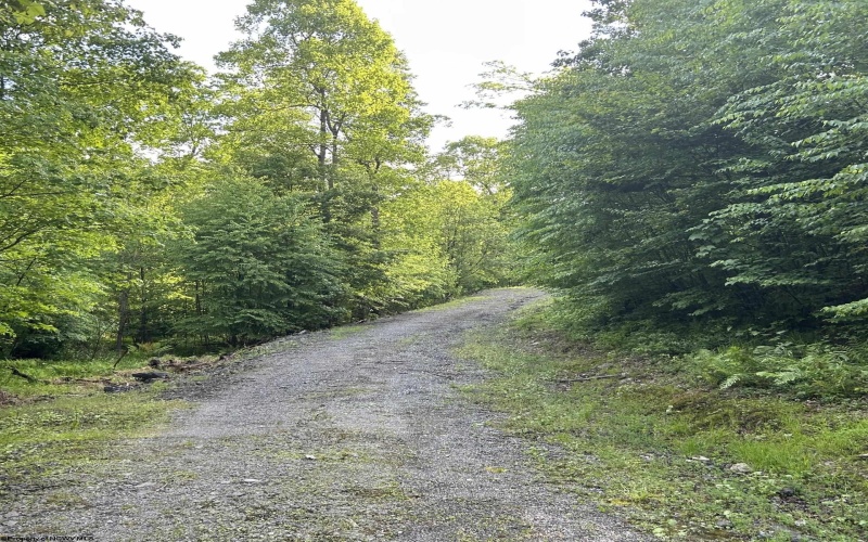 5400 Brandonville Pike, Terra Alta, West Virginia 26764, ,Lots/land,For Sale,Brandonville,10165497 5400 Brandonville Pike, Terra Alta, West Virginia 26764, ,Lots/land,For Sale,Brandonville,10165497