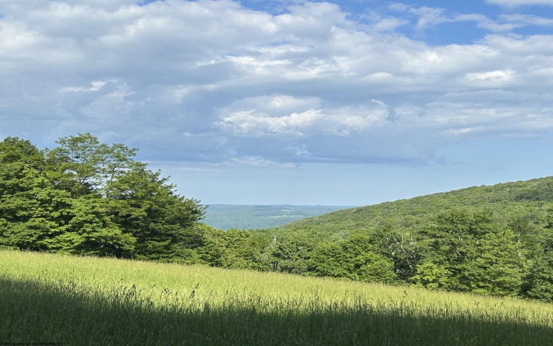 5400 Brandonville Pike, Terra Alta, West Virginia 26764, ,Lots/land,For Sale,Brandonville,10165497 5400 Brandonville Pike, Terra Alta, West Virginia 26764, ,Lots/land,For Sale,Brandonville,10165497