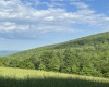 5400 Brandonville Pike, Terra Alta, West Virginia 26764, ,Lots/land,For Sale,Brandonville,10165497 5400 Brandonville Pike, Terra Alta, West Virginia 26764, ,Lots/land,For Sale,Brandonville,10165497