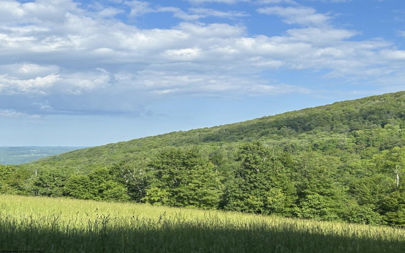 5400 Brandonville Pike, Terra Alta, West Virginia 26764, ,Lots/land,For Sale,Brandonville,10165497 5400 Brandonville Pike, Terra Alta, West Virginia 26764, ,Lots/land,For Sale,Brandonville,10165497