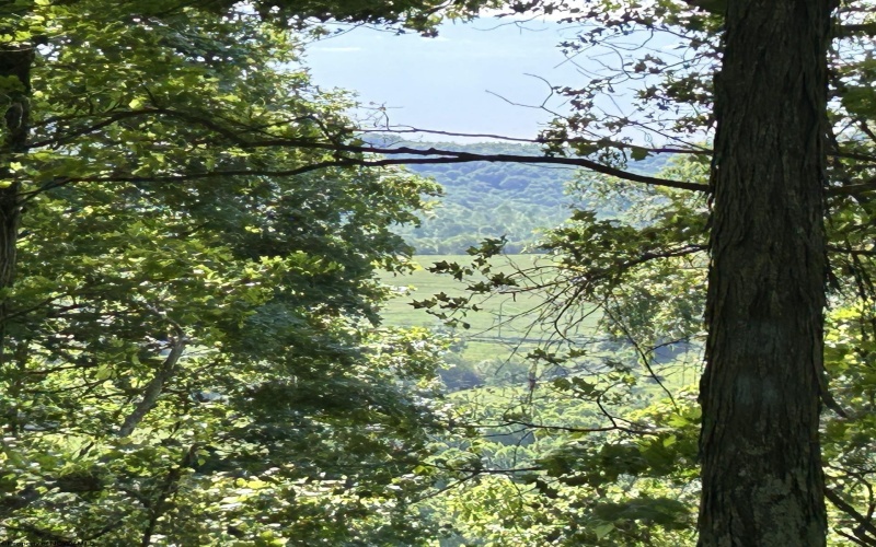 5400 Brandonville Pike, Terra Alta, West Virginia 26764, ,Lots/land,For Sale,Brandonville,10165497 5400 Brandonville Pike, Terra Alta, West Virginia 26764, ,Lots/land,For Sale,Brandonville,10165497