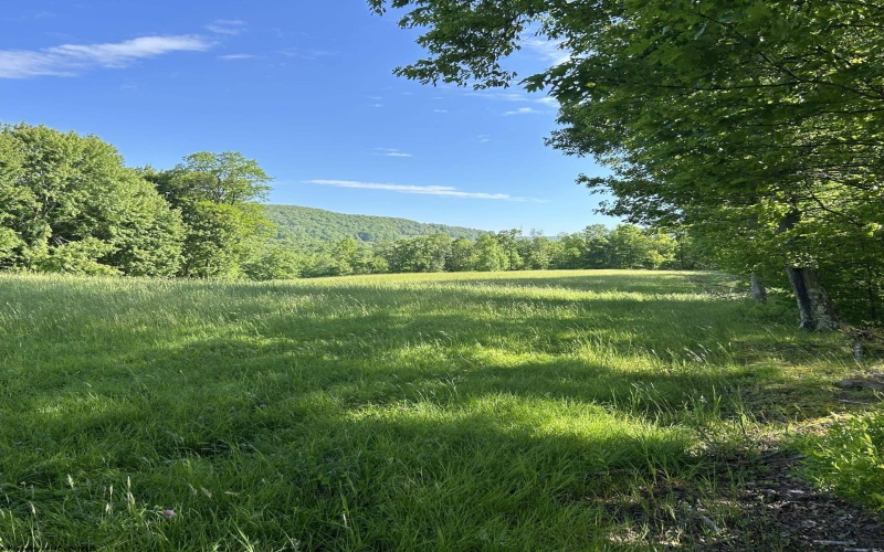 5400 Brandonville Pike, Terra Alta, West Virginia 26764, ,Lots/land,For Sale,Brandonville,10165497 5400 Brandonville Pike, Terra Alta, West Virginia 26764, ,Lots/land,For Sale,Brandonville,10165497