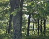 5400 Brandonville Pike, Terra Alta, West Virginia 26764, ,Lots/land,For Sale,Brandonville,10165497 5400 Brandonville Pike, Terra Alta, West Virginia 26764, ,Lots/land,For Sale,Brandonville,10165497