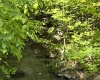 5400 Brandonville Pike, Terra Alta, West Virginia 26764, ,Lots/land,For Sale,Brandonville,10165497 5400 Brandonville Pike, Terra Alta, West Virginia 26764, ,Lots/land,For Sale,Brandonville,10165497