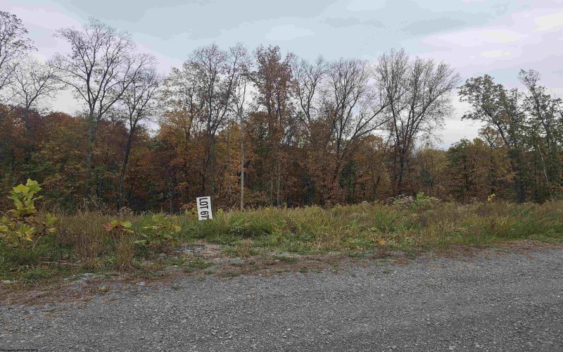 lot 67 Turquoise Way, Bridgeport, West Virginia 26330, ,Lots/land,For Sale,Turquoise,10162167
