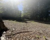 105 Laural Loop, Bruceton Mills, West Virginia 26525, ,Lots/land,For Sale,Laural,10165501 105 Laural Loop, Bruceton Mills, West Virginia 26525, ,Lots/land,For Sale,Laural,10165501