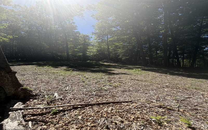 105 Laural Loop, Bruceton Mills, West Virginia 26525, ,Lots/land,For Sale,Laural,10165501 105 Laural Loop, Bruceton Mills, West Virginia 26525, ,Lots/land,For Sale,Laural,10165501