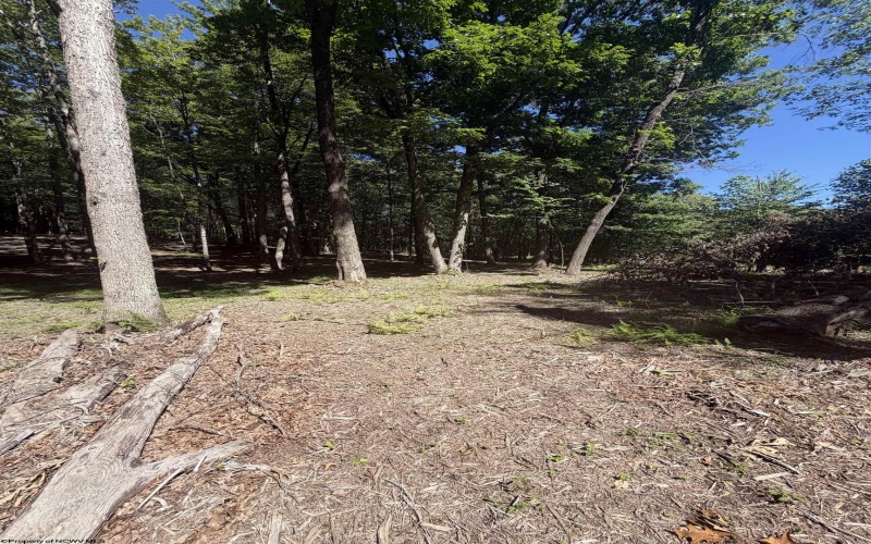 105 Laural Loop, Bruceton Mills, West Virginia 26525, ,Lots/land,For Sale,Laural,10165501 105 Laural Loop, Bruceton Mills, West Virginia 26525, ,Lots/land,For Sale,Laural,10165501