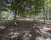 105 Laural Loop, Bruceton Mills, West Virginia 26525, ,Lots/land,For Sale,Laural,10165501 105 Laural Loop, Bruceton Mills, West Virginia 26525, ,Lots/land,For Sale,Laural,10165501