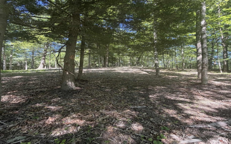 105 Laural Loop, Bruceton Mills, West Virginia 26525, ,Lots/land,For Sale,Laural,10165501 105 Laural Loop, Bruceton Mills, West Virginia 26525, ,Lots/land,For Sale,Laural,10165501
