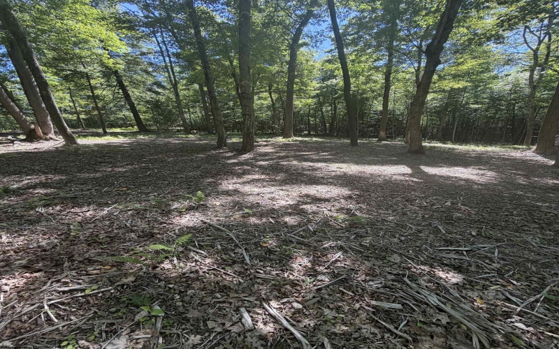 105 Laural Loop, Bruceton Mills, West Virginia 26525, ,Lots/land,For Sale,Laural,10165501 105 Laural Loop, Bruceton Mills, West Virginia 26525, ,Lots/land,For Sale,Laural,10165501