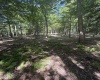 105 Laural Loop, Bruceton Mills, West Virginia 26525, ,Lots/land,For Sale,Laural,10165501 105 Laural Loop, Bruceton Mills, West Virginia 26525, ,Lots/land,For Sale,Laural,10165501