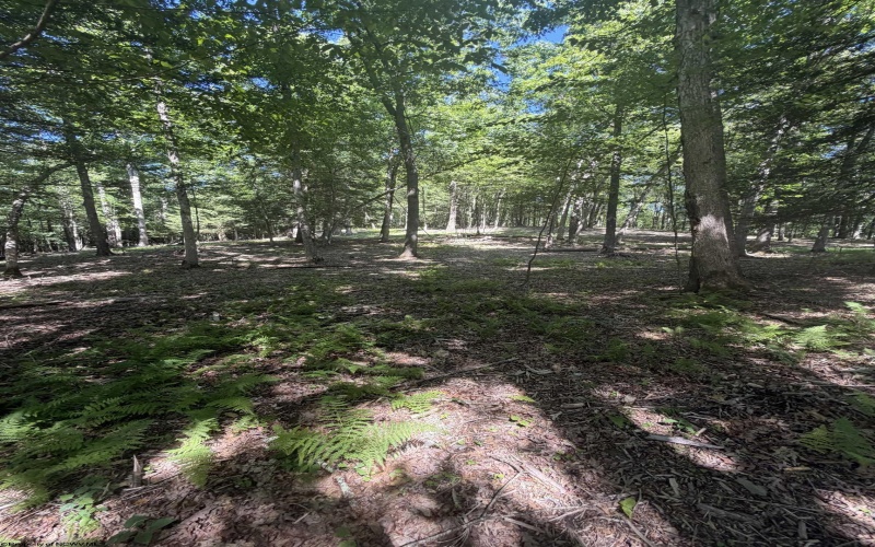 105 Laural Loop, Bruceton Mills, West Virginia 26525, ,Lots/land,For Sale,Laural,10165501 105 Laural Loop, Bruceton Mills, West Virginia 26525, ,Lots/land,For Sale,Laural,10165501