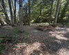 105 Laural Loop, Bruceton Mills, West Virginia 26525, ,Lots/land,For Sale,Laural,10165501 105 Laural Loop, Bruceton Mills, West Virginia 26525, ,Lots/land,For Sale,Laural,10165501