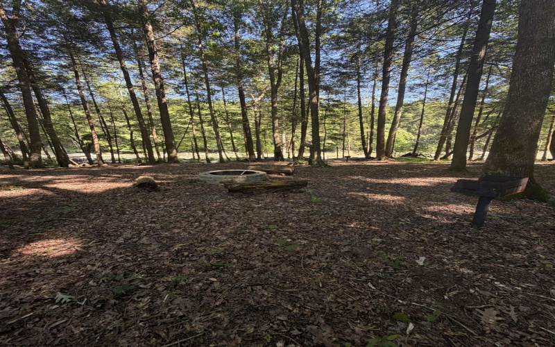 105 Laural Loop, Bruceton Mills, West Virginia 26525, ,Lots/land,For Sale,Laural,10165501 105 Laural Loop, Bruceton Mills, West Virginia 26525, ,Lots/land,For Sale,Laural,10165501