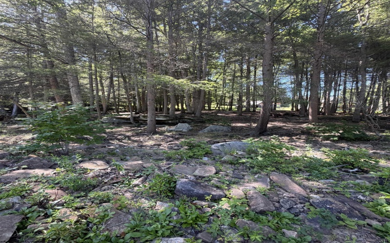 105 Laural Loop, Bruceton Mills, West Virginia 26525, ,Lots/land,For Sale,Laural,10165501 105 Laural Loop, Bruceton Mills, West Virginia 26525, ,Lots/land,For Sale,Laural,10165501