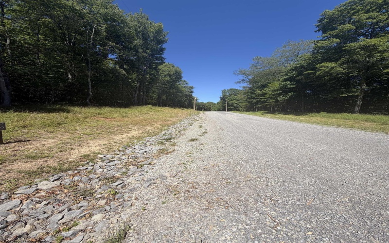 105 Laural Loop, Bruceton Mills, West Virginia 26525, ,Lots/land,For Sale,Laural,10165501 105 Laural Loop, Bruceton Mills, West Virginia 26525, ,Lots/land,For Sale,Laural,10165501