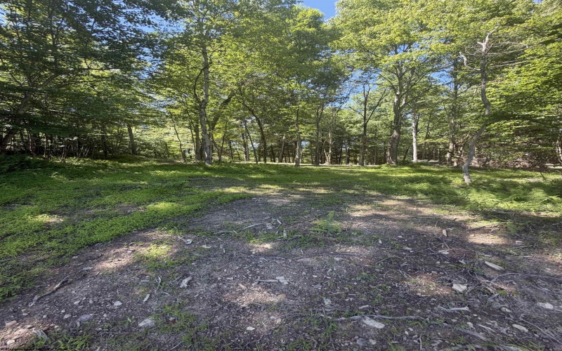 105 Laural Loop, Bruceton Mills, West Virginia 26525, ,Lots/land,For Sale,Laural,10165501 105 Laural Loop, Bruceton Mills, West Virginia 26525, ,Lots/land,For Sale,Laural,10165501